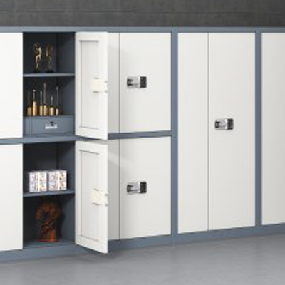 What are the characteristics of electronic security cabinet?